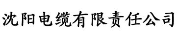 香蕉视频午夜电影电缆厂logo